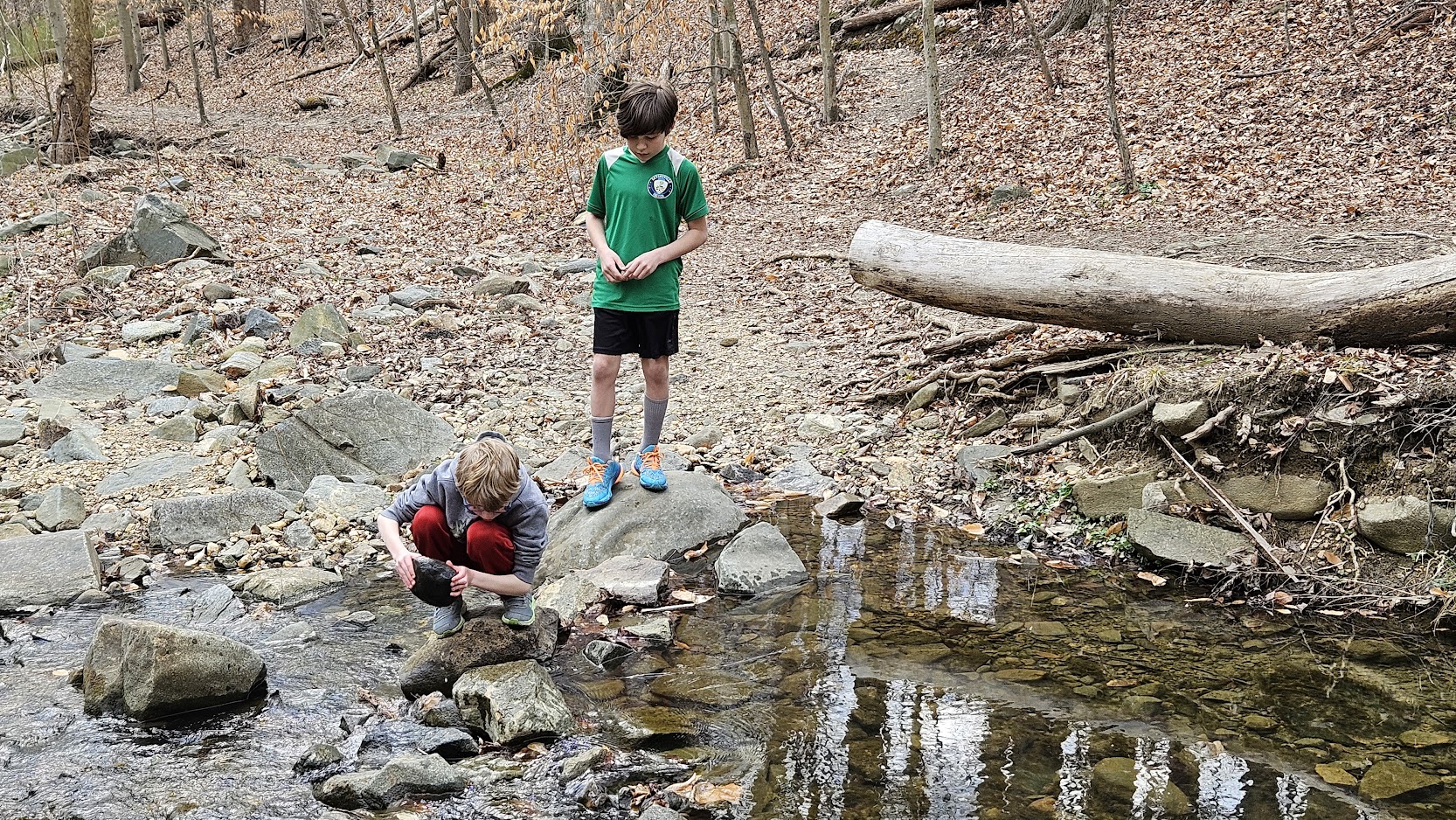 Children exploring nature