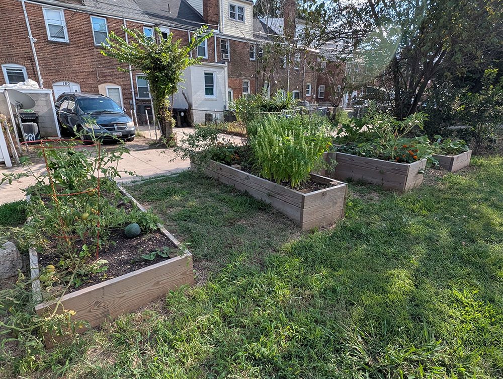 Community Managed Food Gardens