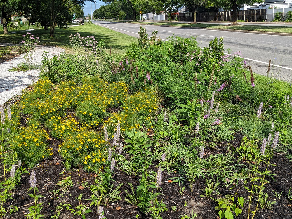 Conservation Gardens