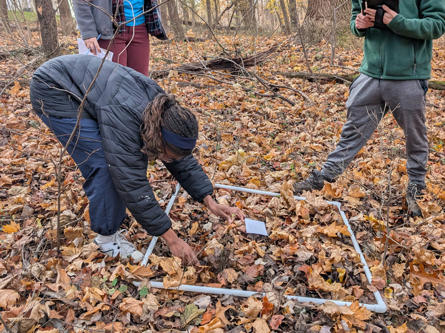 Forest Health