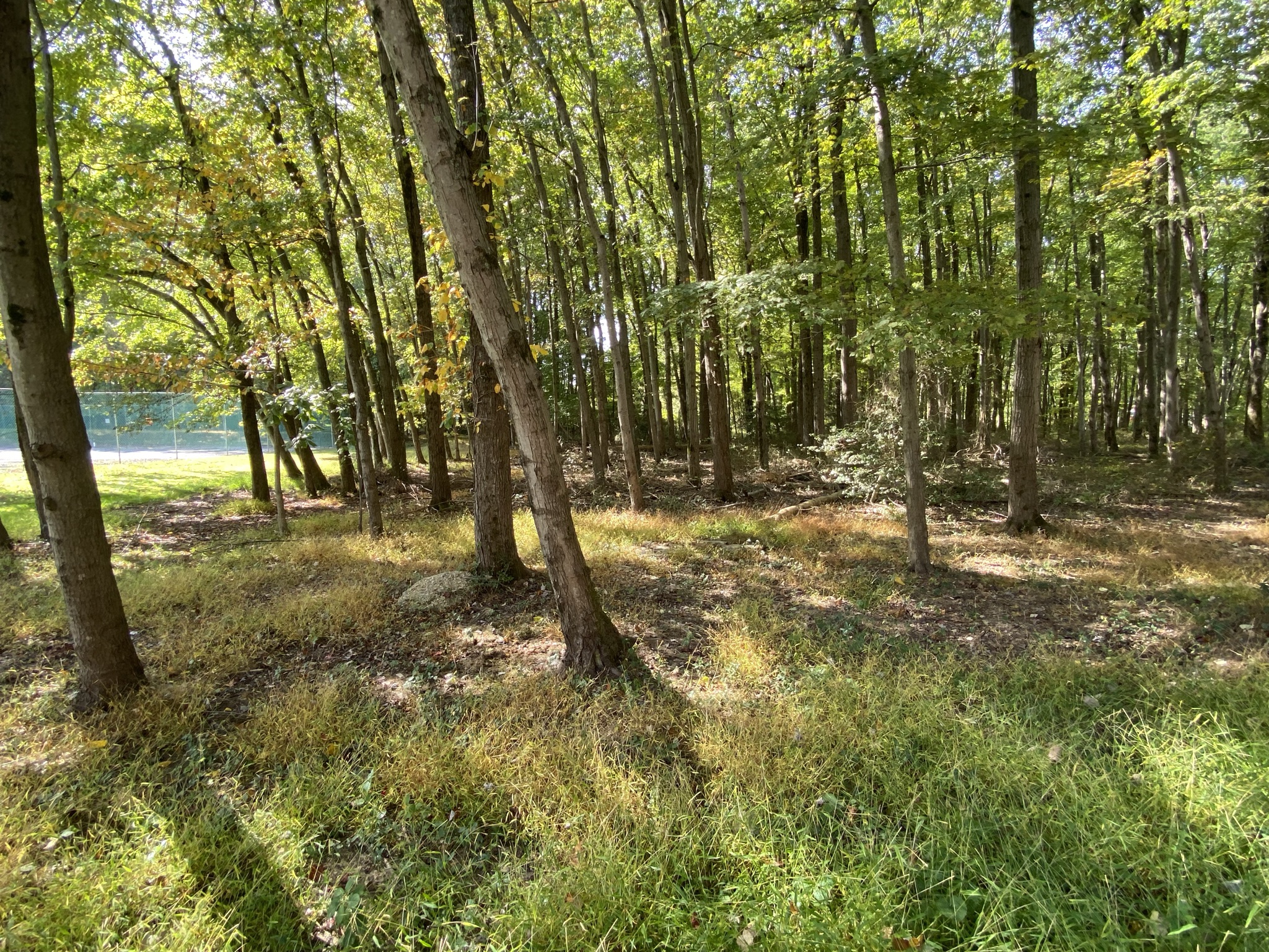 HABACO Preserve – Village of 12 Trees