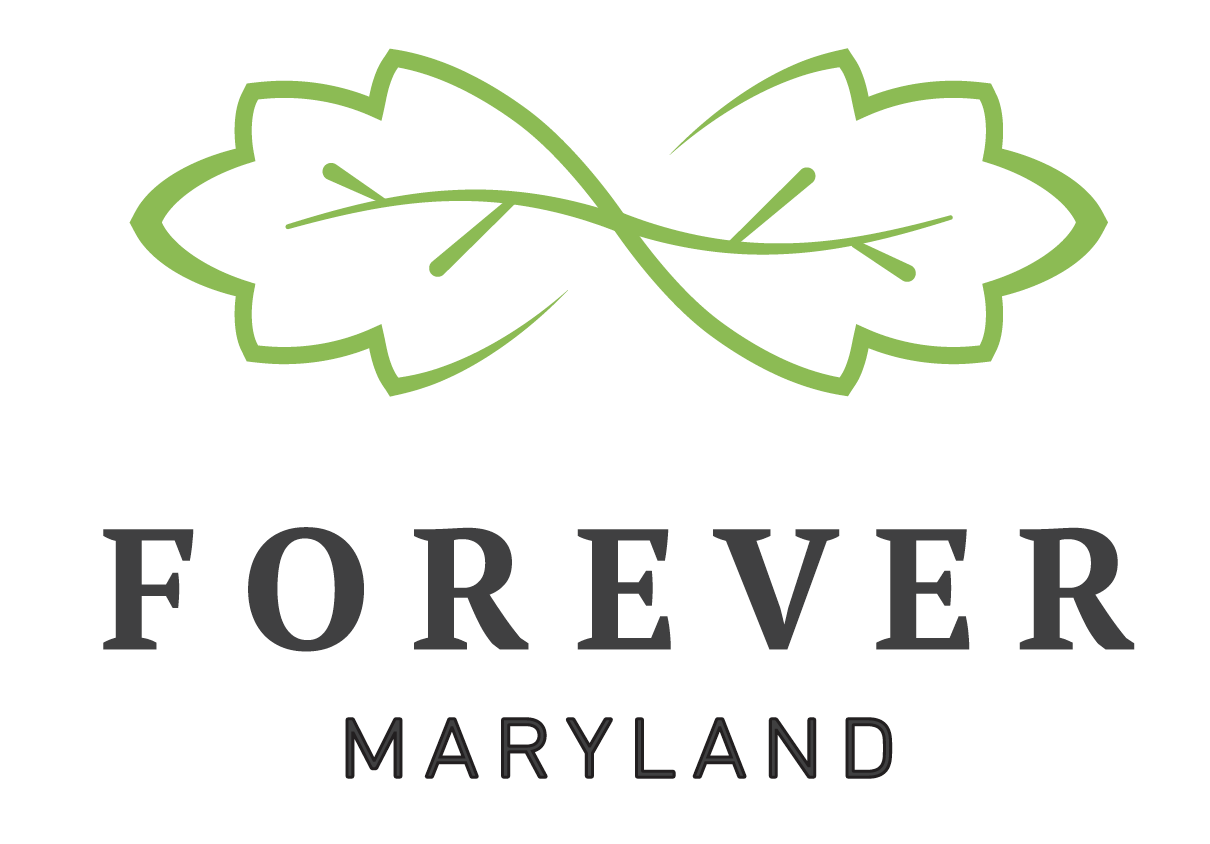 Forever MD Logo