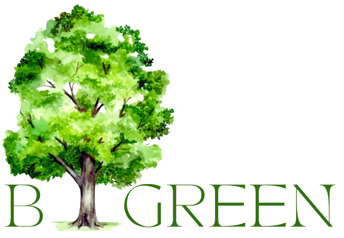 BGREEN Logo