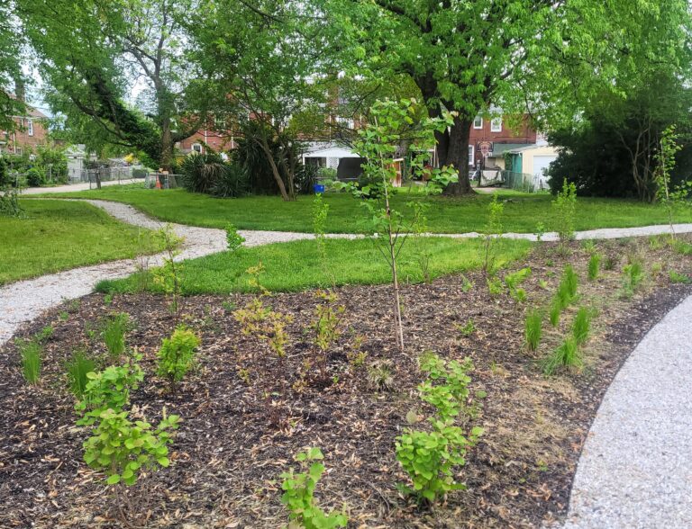 Volunteers planting trees at a NeighborSpace site