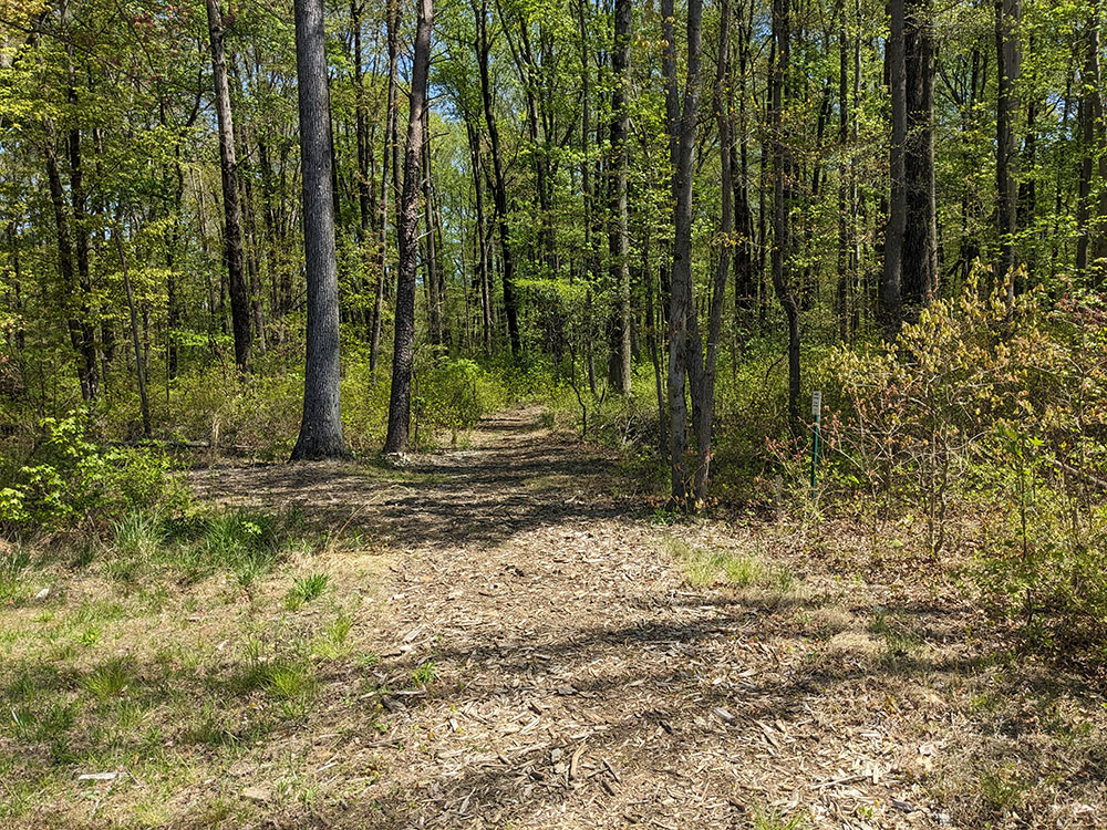 Natural Trail