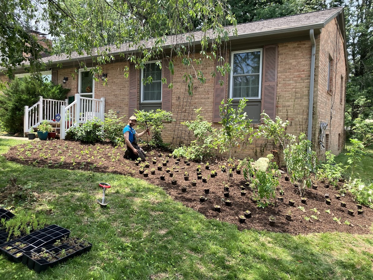 Pollinator Patches