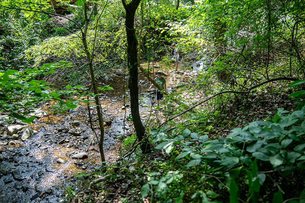 Riparian Zone